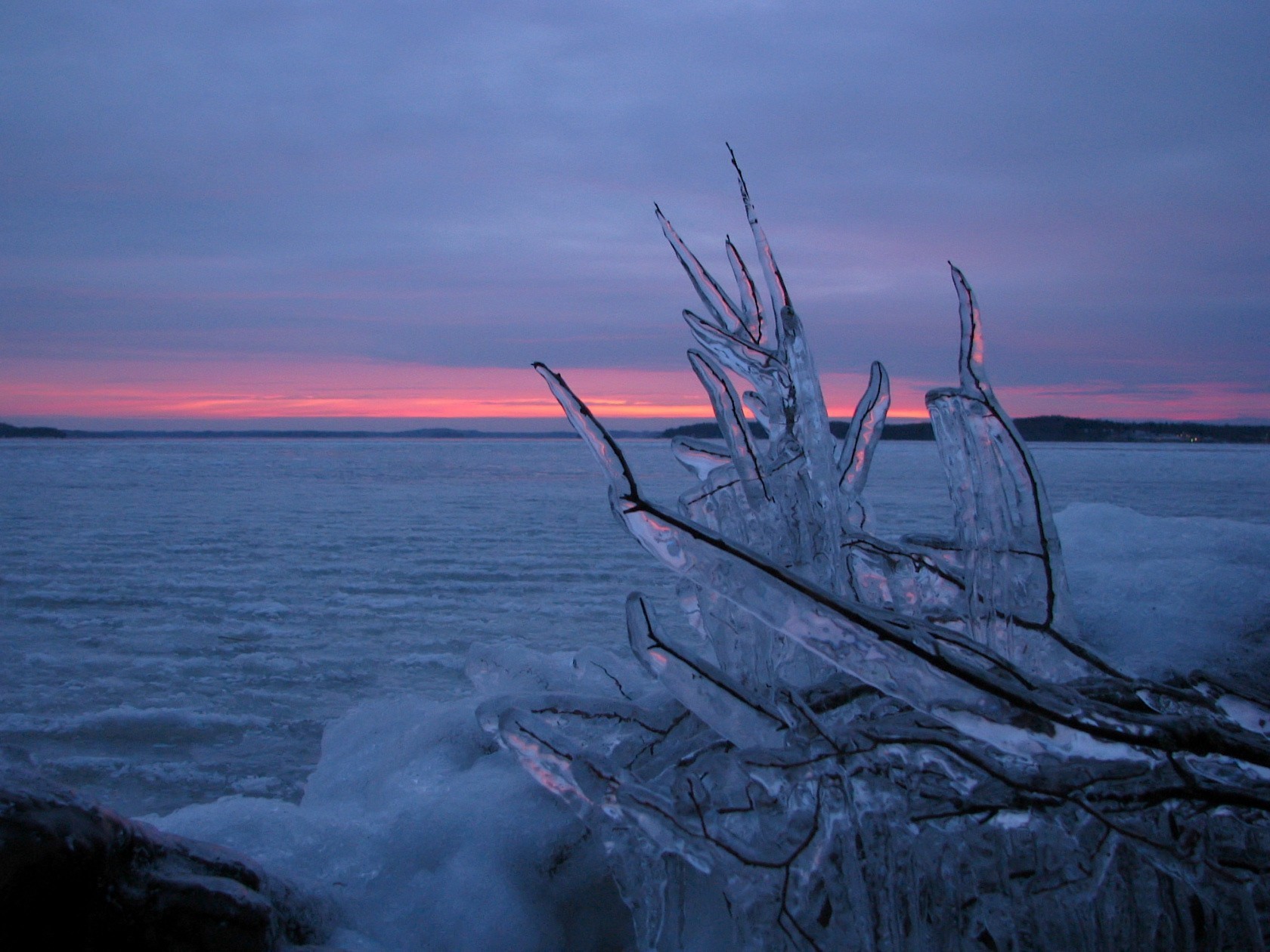 eis winter zweig wasser