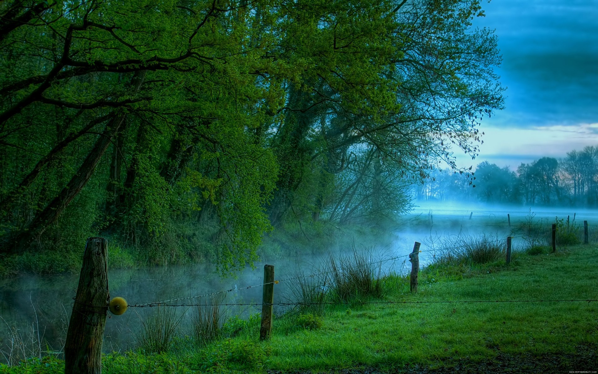 morning meadow river fog