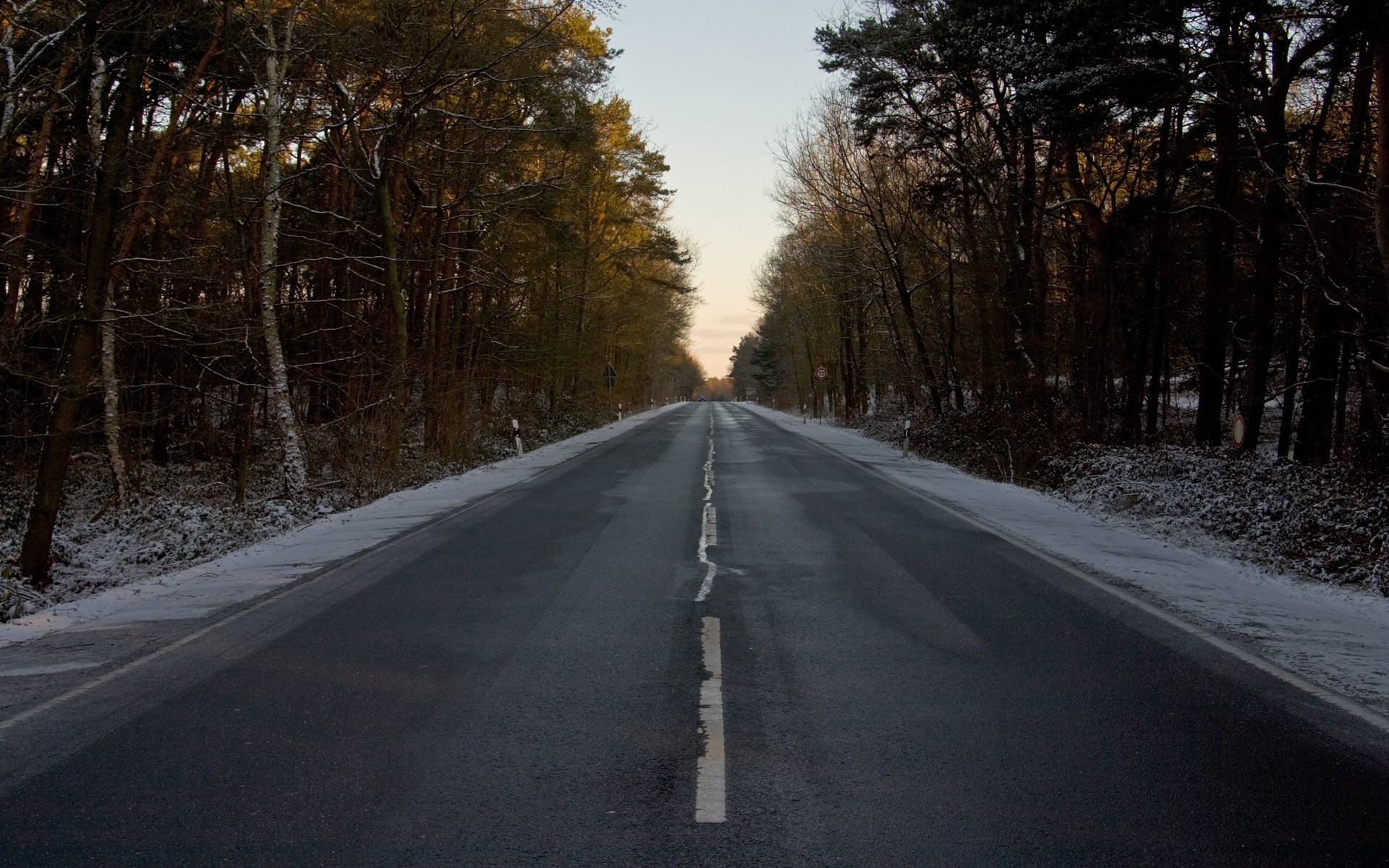 straße markierung winter wald zeichen