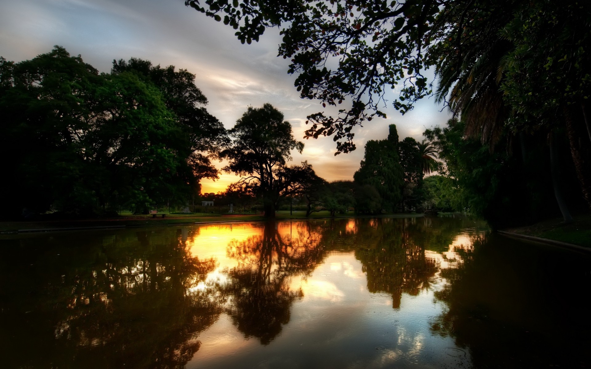 río árboles reflexión puesta de sol