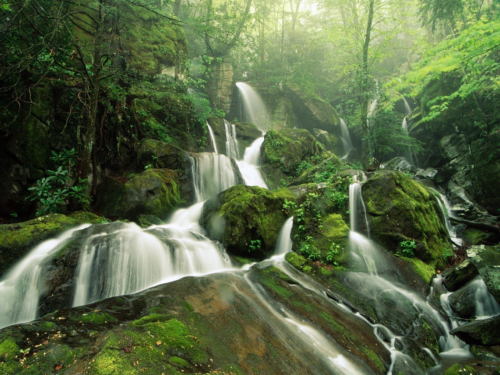 waterfall stones tree forest green