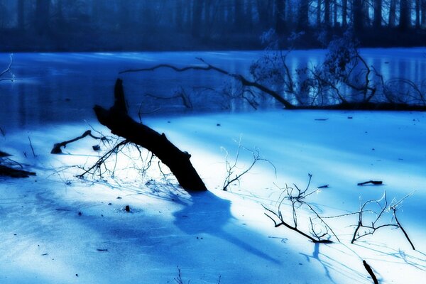 River bank in winter. A snag in the snow