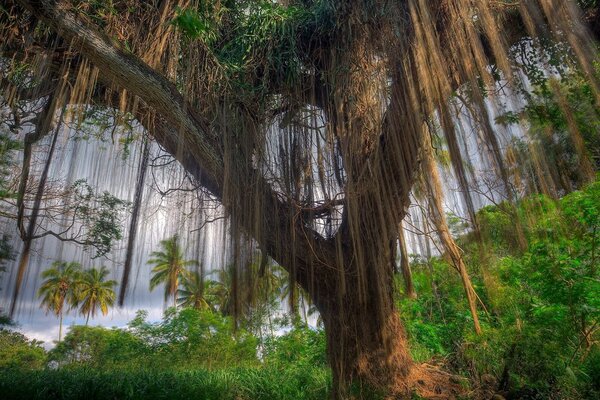 La naturaleza en todo su esplendor