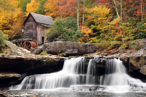 Schöner Herbstpark. Wasserfall