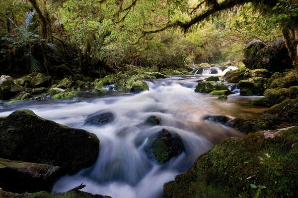 Mountain river among the picturesque terrain