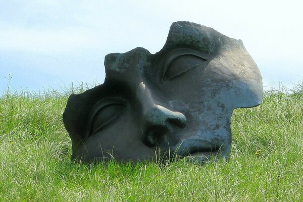 Estatua ojos nariz hierba