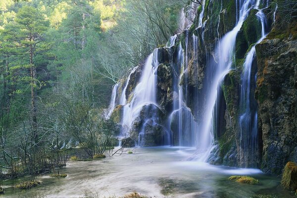 Felsiger Wasserfall im Hintergrund des Waldes