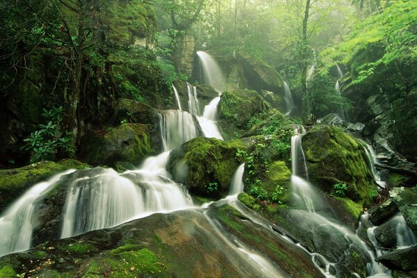 Langer Wasserfall auf Steinen im Wald