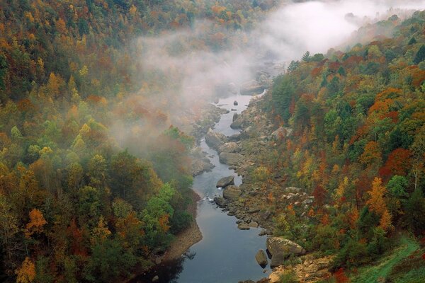 Nebel streut sich über den Gebirgsfluss