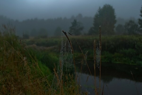 Ein kühler Herbstmorgen am Flussufer