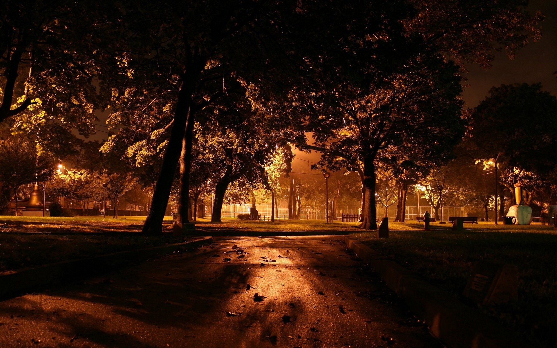 night tree lamp