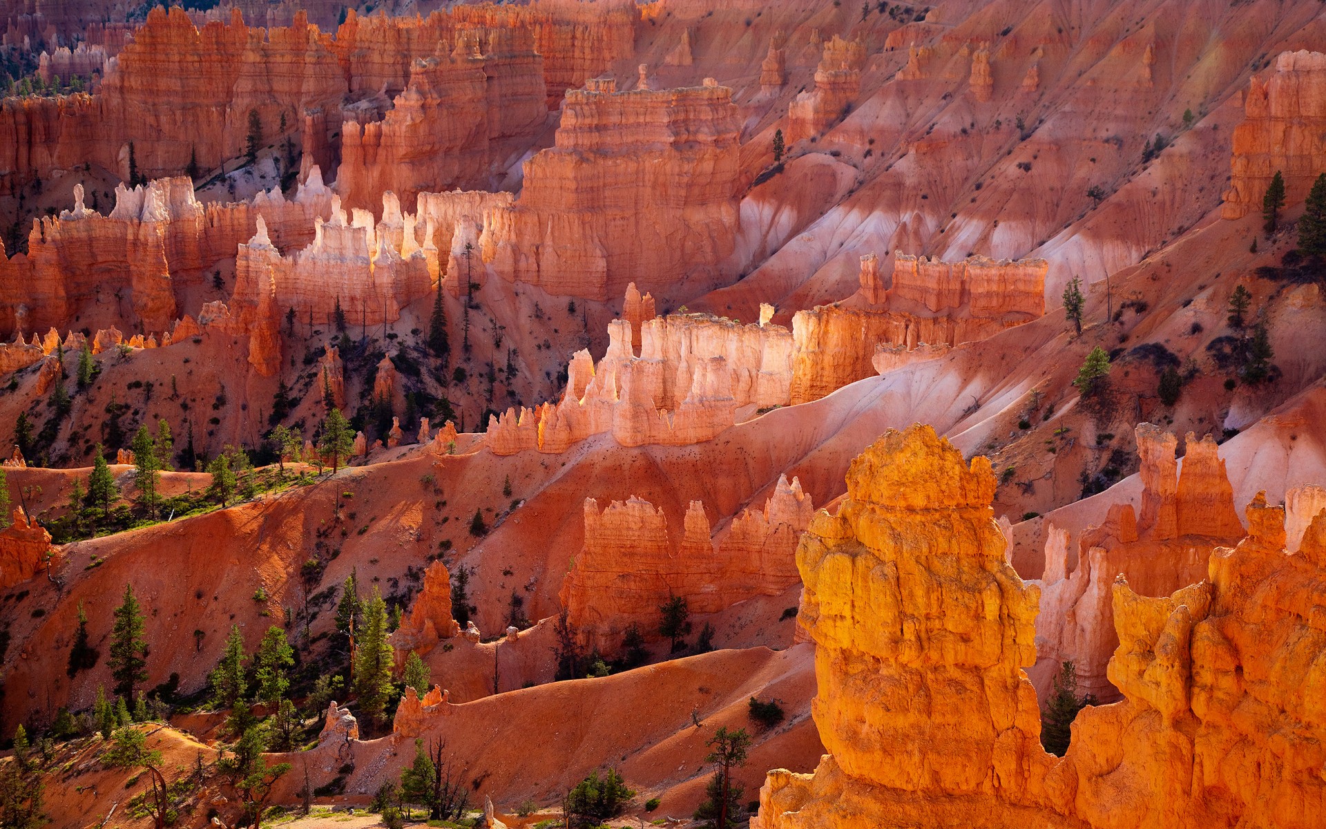 bryce canyon désert orange roches