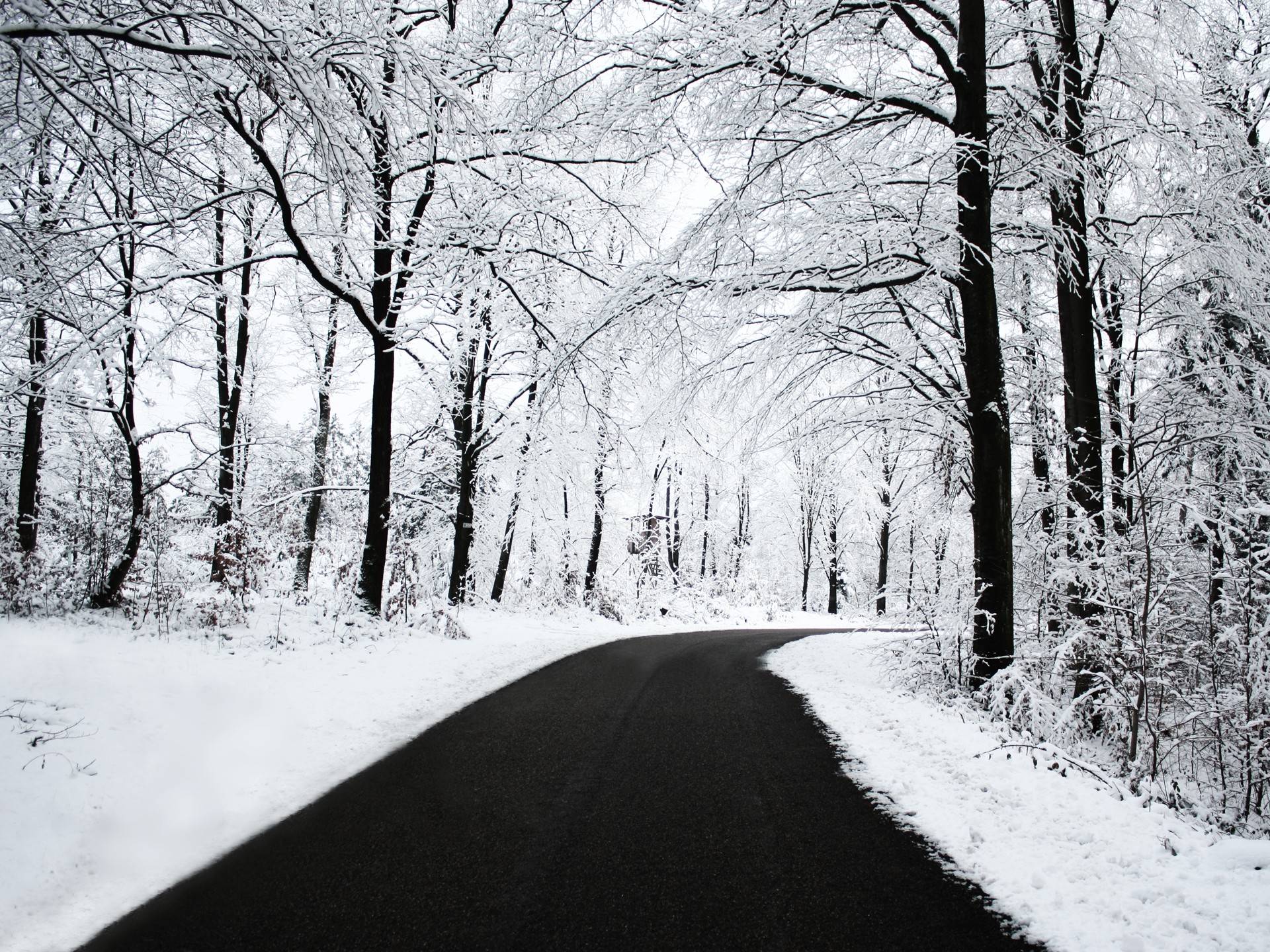 hiver route forêt neige