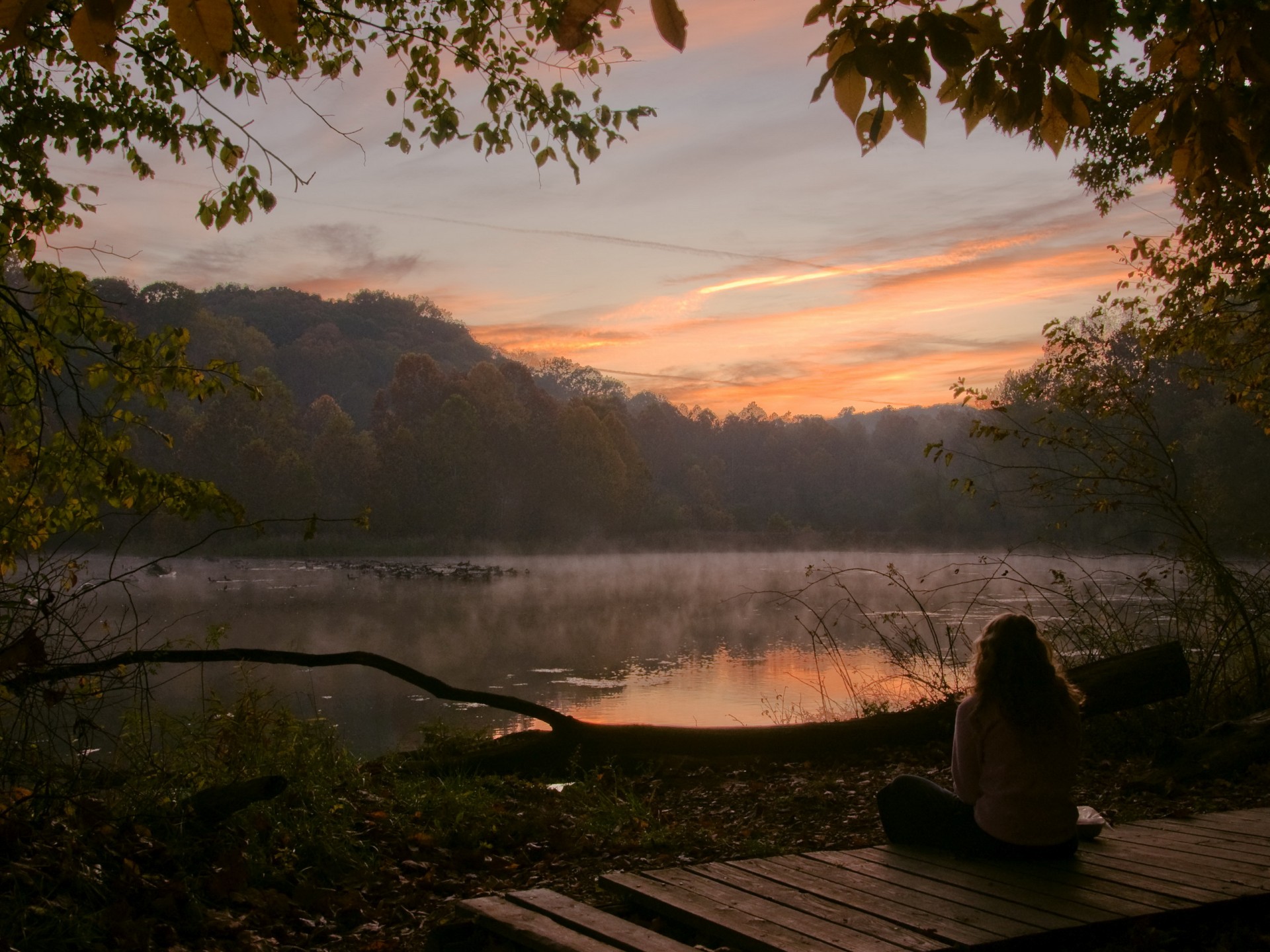 lago foresta alberi mattina ragazza