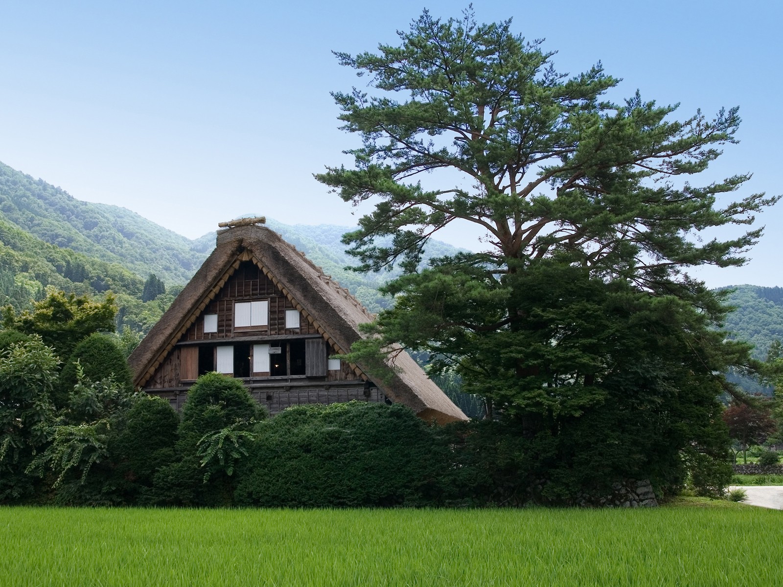 nature house tree green mountain