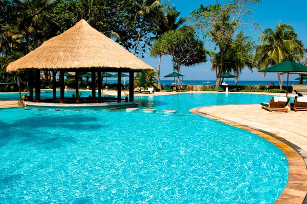 Piscina azzurra, gazebo con tetto di paglia, sedie a sdraio e ombrelloni sullo sfondo, palme e mare all orizzonte