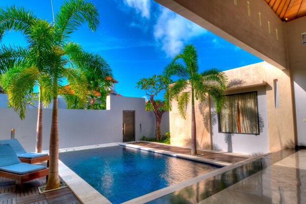 Swimming pool in the courtyard with sun loungers under palm trees