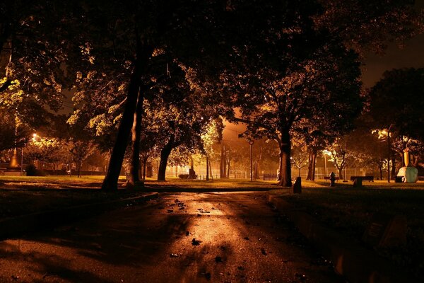 Ciemny Park nocą przy świetle latarni