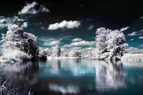 Alberi innevati vicino al fiume ghiacciato