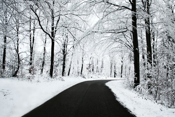 Winter Straße in den Wald