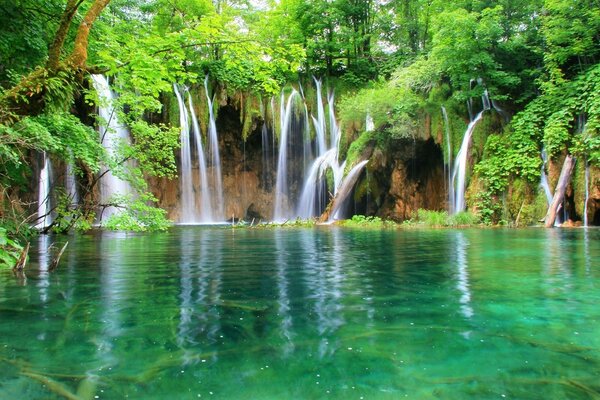 Schöner Wasserfall im hellgrünen Wald