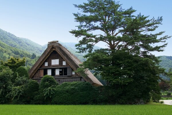 Casa de dos pisos cerca del bosque