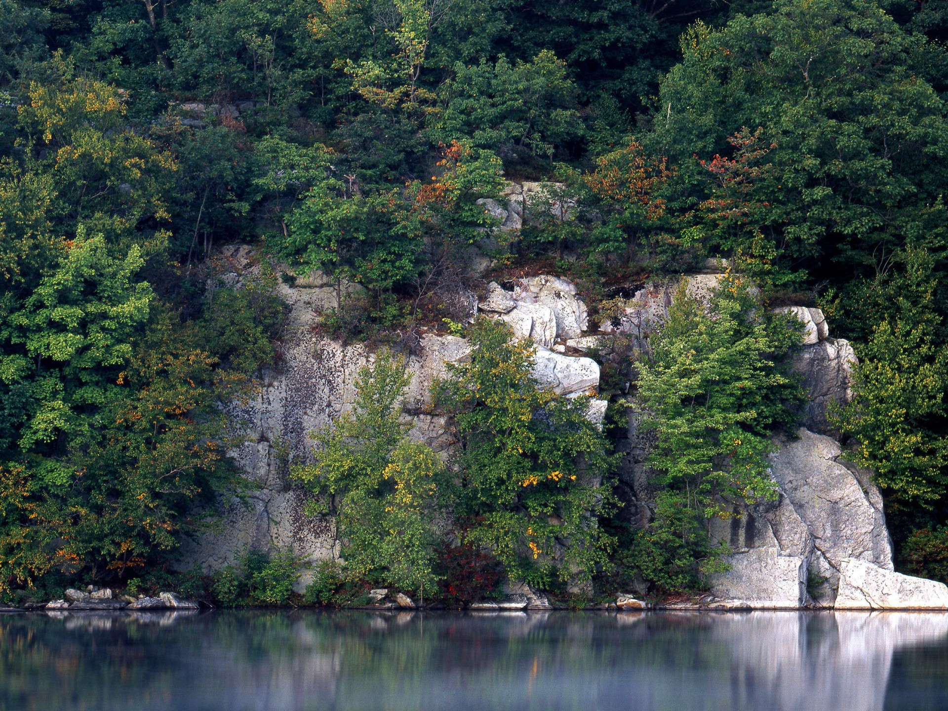 acqua rocce alberi riflessione