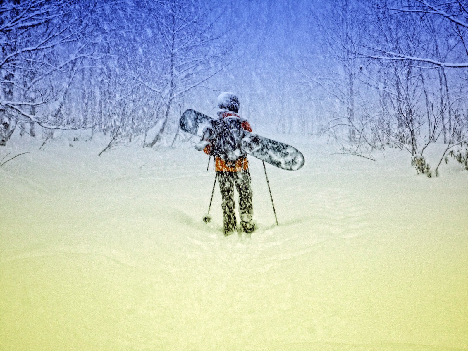 man snow wind tree