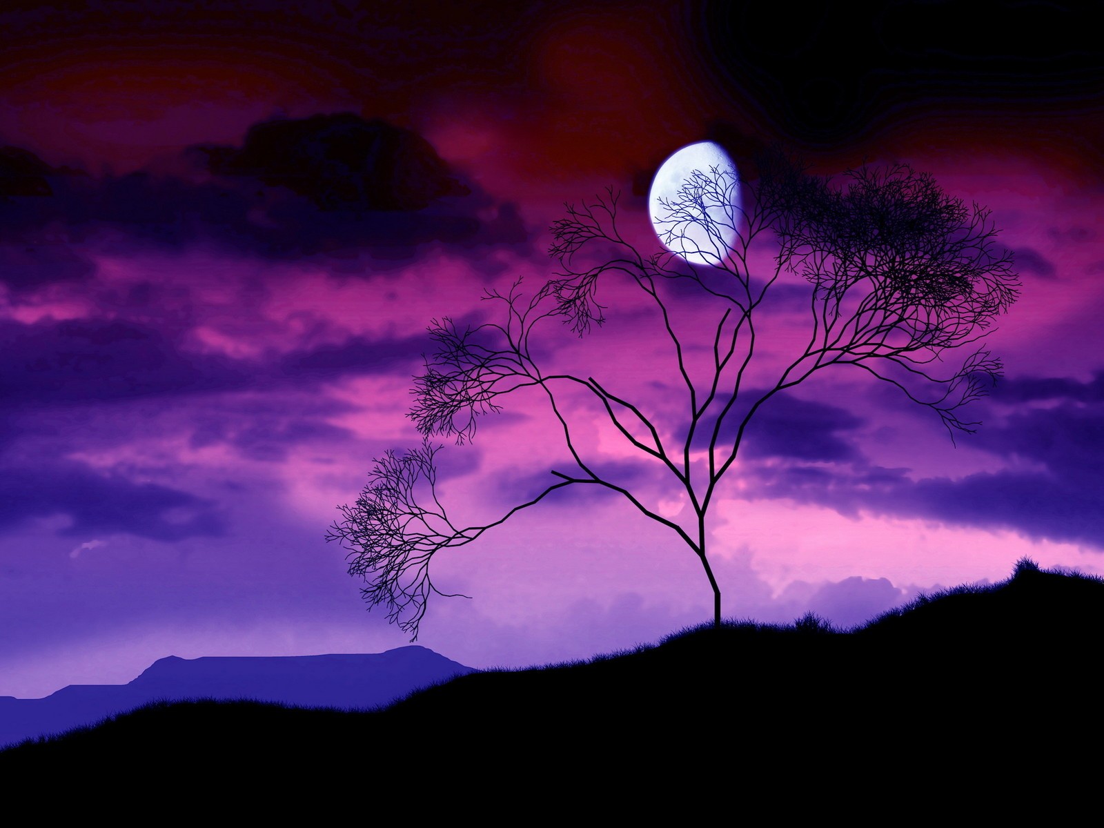 night moon tree