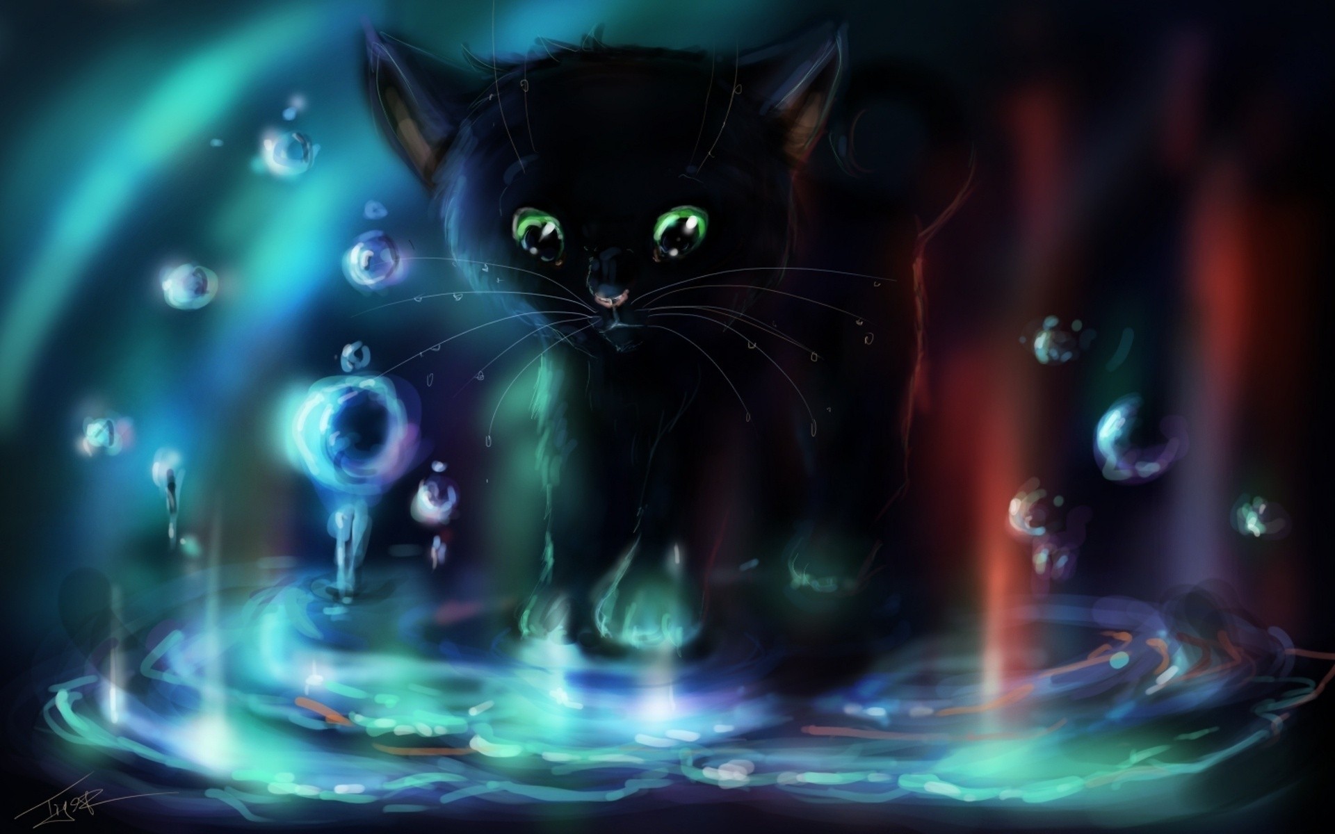 cat bubbles water