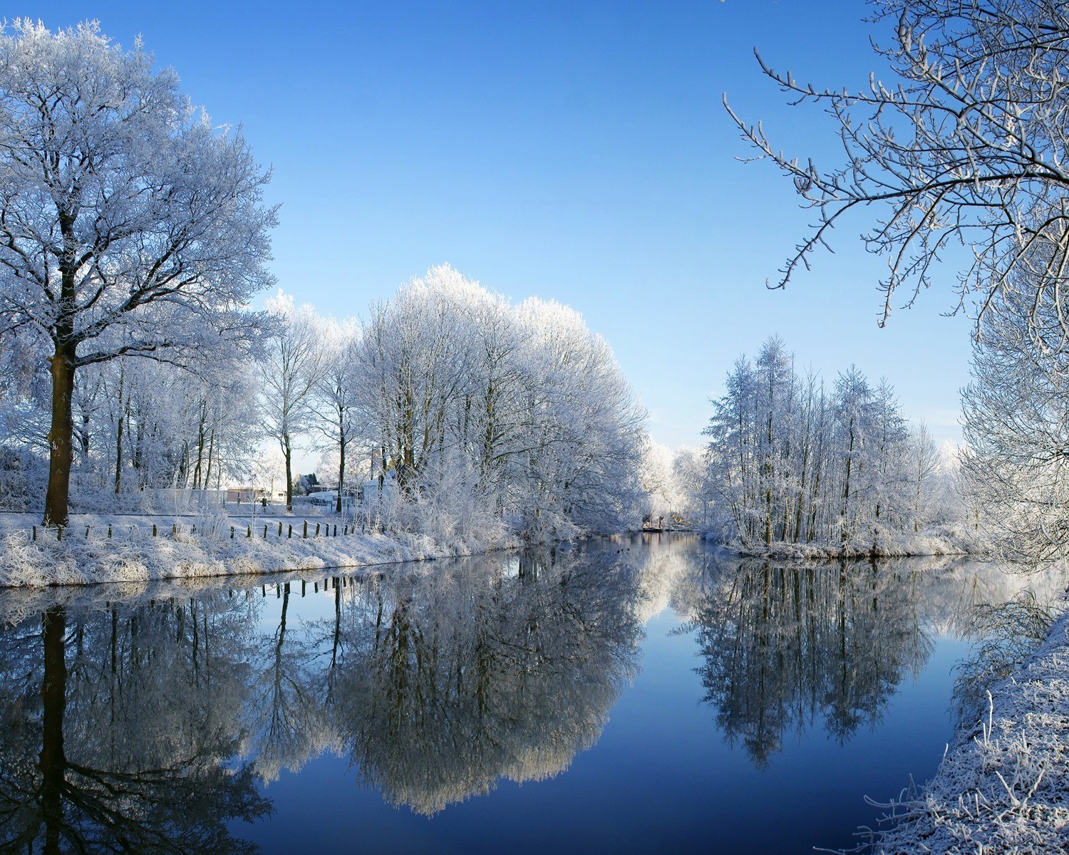 hiver rivière arbres givre neige