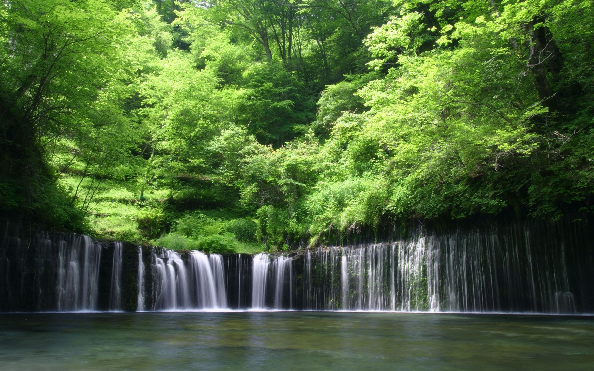 cascata acqua foresta