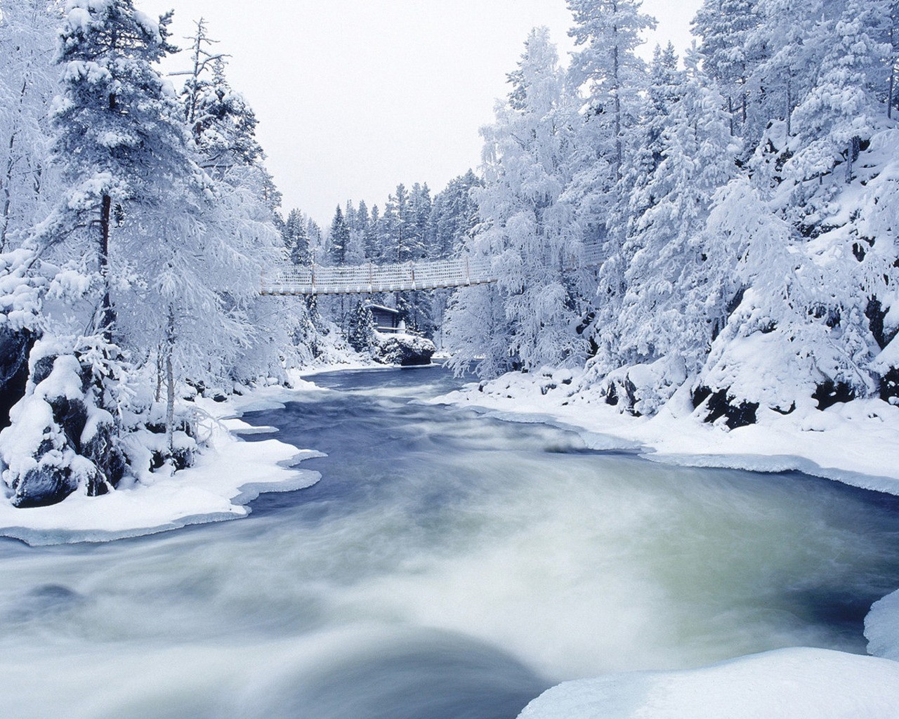 hiver neige arbres givre rivière pont