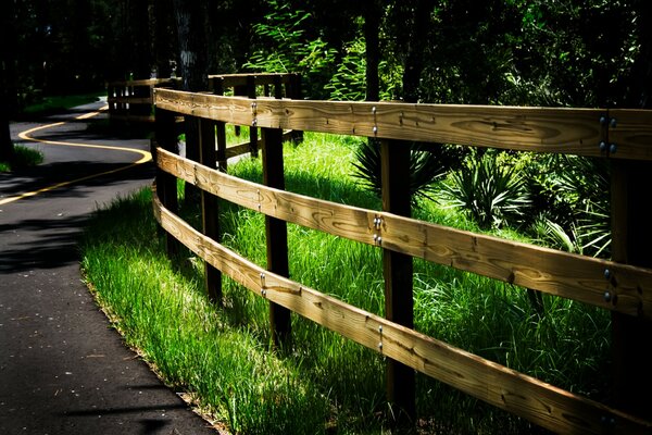 Masso di legno in Dol strada che corre nel bosco