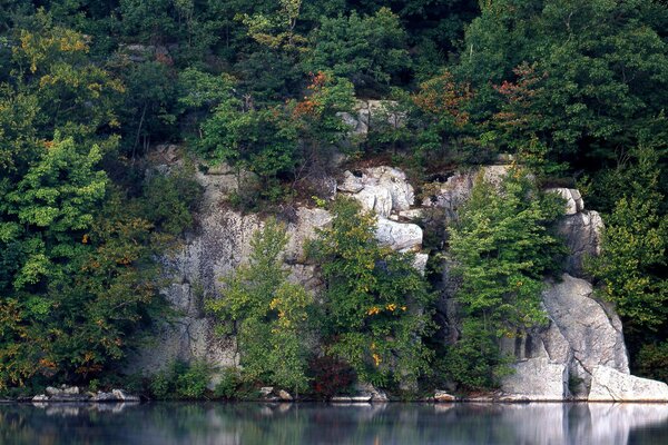 Saftiges Grün wächst auf den Felsen