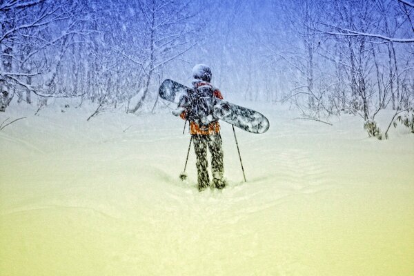 schneereicher Winter. Snowboard. Winterwald