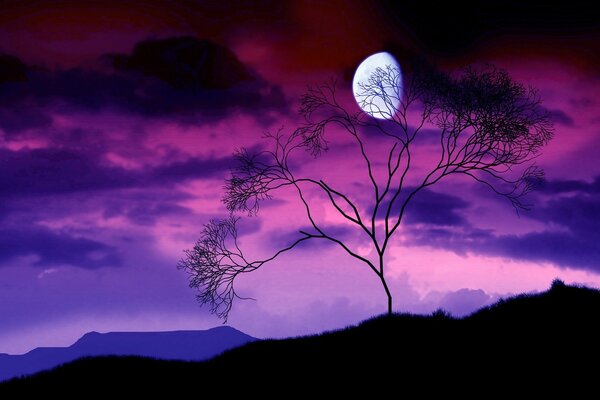 Beautiful moon at purple sunset