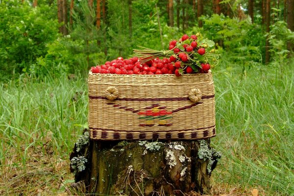 Auf einem Baumstumpf ist ein großer Korb voller Erdbeeren