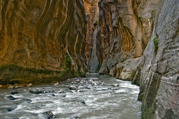 The mountain river flows in the gorge gaining its strength in the mountains