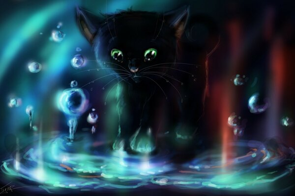 Dessin animé chat eau bulles arc-en-ciel