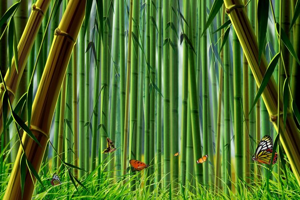 Grass and butterflies in bamboo