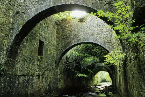 Canal de drainage. Bâtiments anciens. Mousse