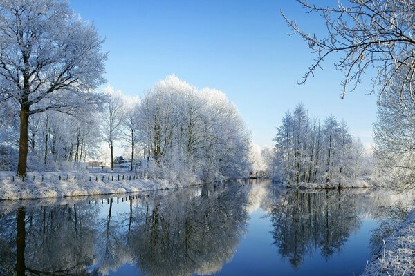 Reflejo de árboles nevados en el río