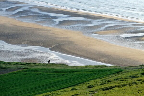 Endless green field near the seashore