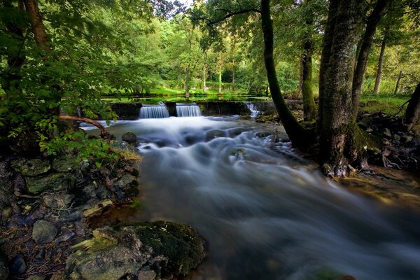 Wasserfall mit fließendem Wasser in einem Fluss im Wald