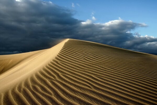 Sandy desert. Black clouds