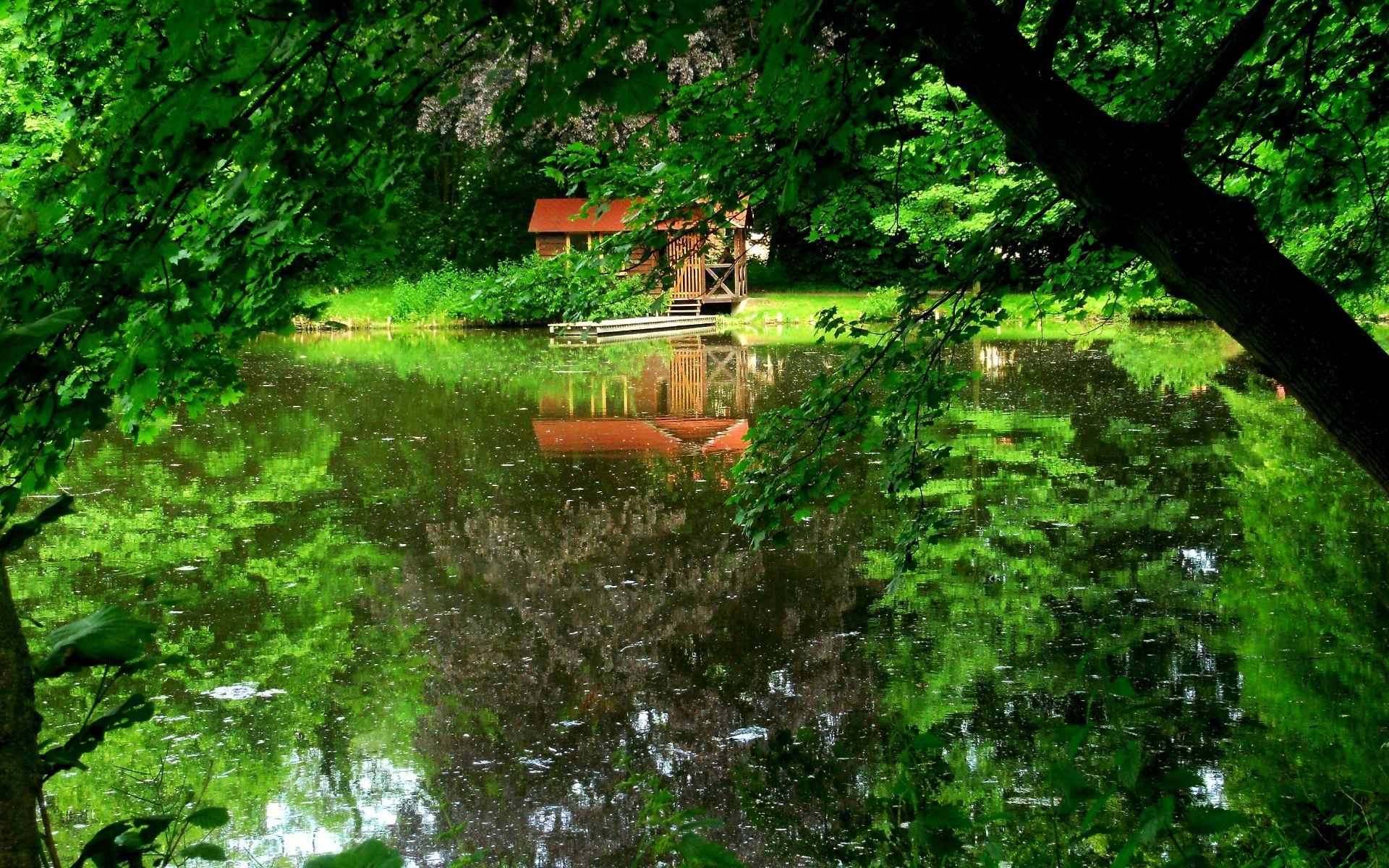 quai lac arbres