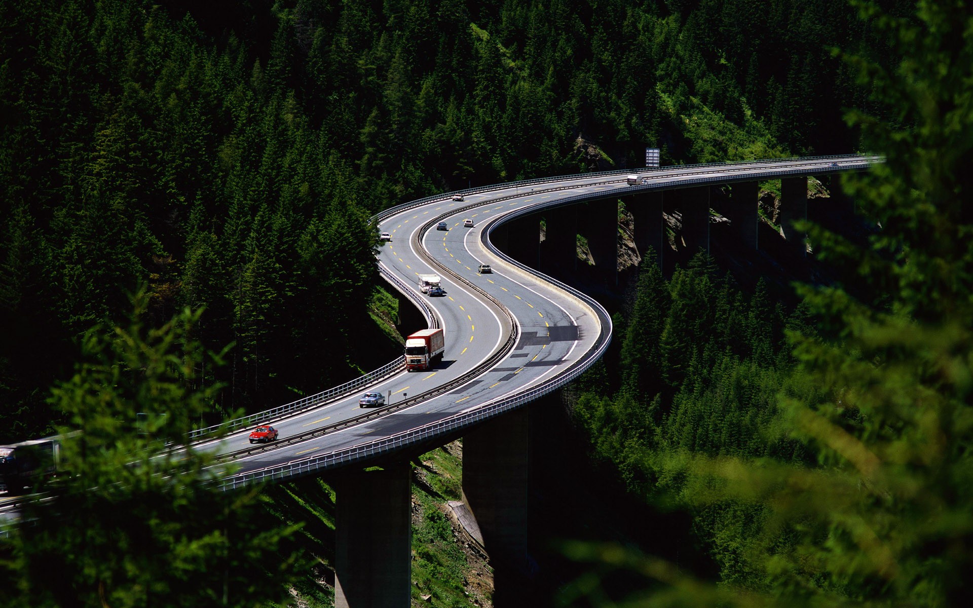 route forêt altitude