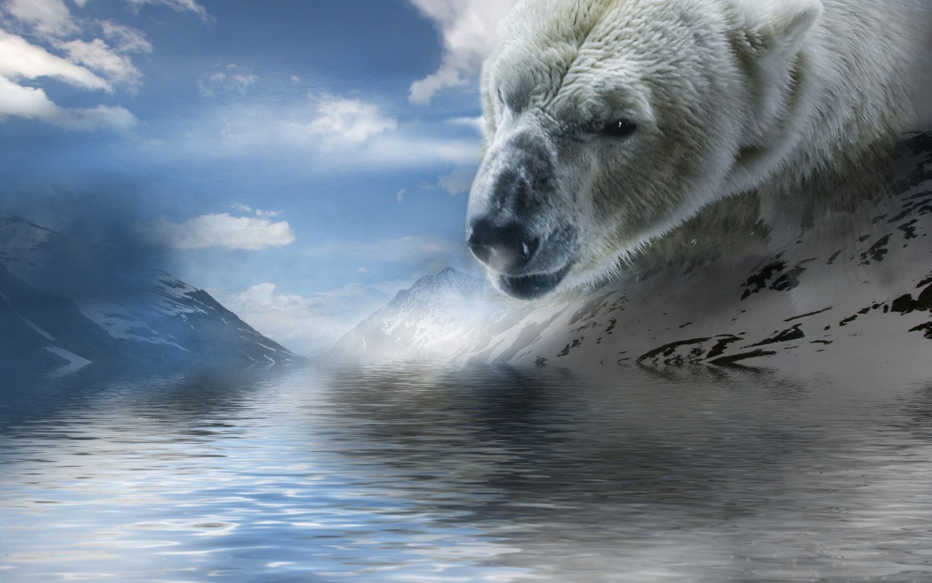 arte orso polare montagne acqua