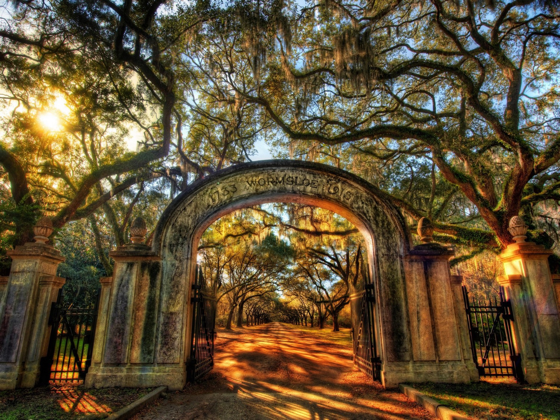 wormsloe parco alberi sole vicolo